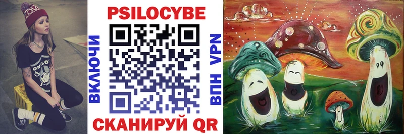 Псилоцибиновые грибы мухоморы  наркотики  Отрадный 